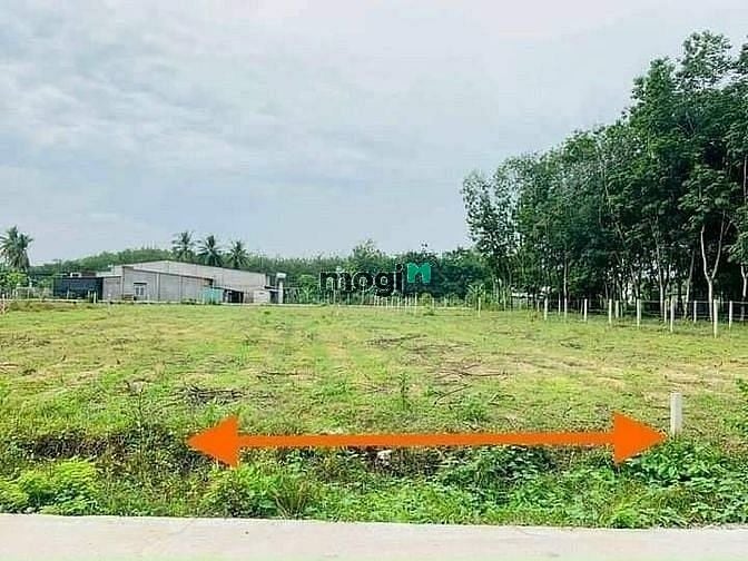 Hình ảnh Cọc nhanh thì còn ạ, còn đúng 1 lô 182m2 full tc giá:810tr H.Gò Dầu TN