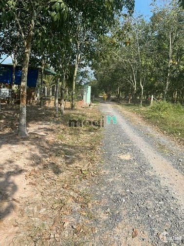 Hình ảnh CỰC PHẨM TÂY NINH Chỉ 210tr 120m2 ShR