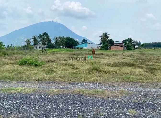 Hình ảnh VIEW ĐẸP NGẮM NÚI ĐẤT Sơn Đình, DMC, 488m²,860 triệu, PLRR