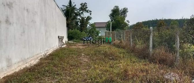 Hình ảnh THỔ CƯ 168m² ĐẤT SHR Mỏ Công, Tân Biên giá 520tr bao sang tên