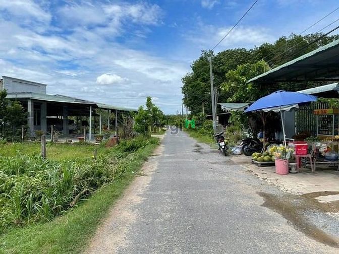 Hình ảnh ĐẤT SẠCH ĐÔNG DÂN CƯ Phước Hòa Phước Thạnh Gò Dầu 195m²