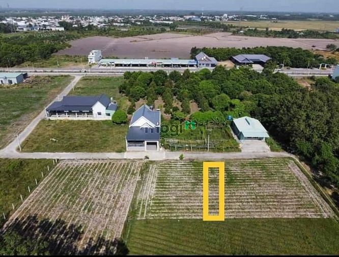 Hình ảnh KHÔNG THỂ RẺ HƠN bán đất Hòa Thành chưa đến 500tr SHR