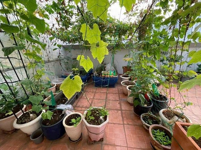 Hình ảnh Biệt thự cao cấp khu Compound đường Xuân Thủy, Thảo Điền, Quận 2
