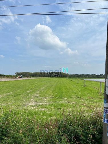 Hình ảnh 🚫Diện tích khủng giá cực lời hơn 1000m2 chỉ 1T050🚫