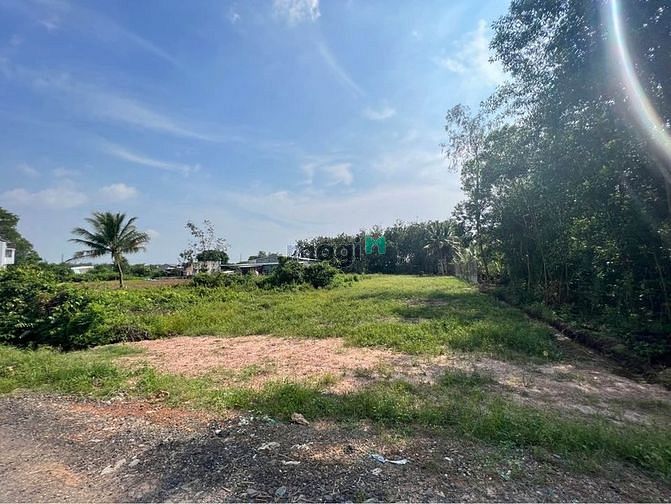 Hình ảnh Đất đẹp Cây trắc ,Phước Đông, Gò Dầu, TN 1110m2