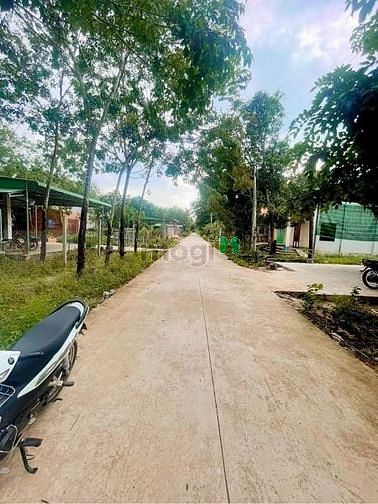 Hình ảnh CHẠY GẤP ĐẤT ĐẸP bán đất Suối Dây Tân Châu Tây Ninh 225m²