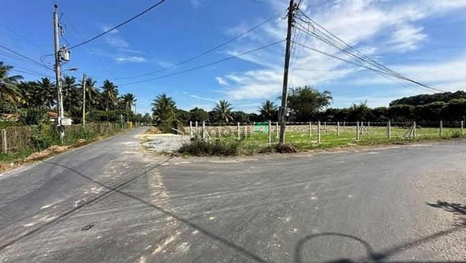 Hình ảnh CHẤN ĐỘNG ĐỊA CẦU Bán đất Trường Đông Hòa Thành 100m² SHR