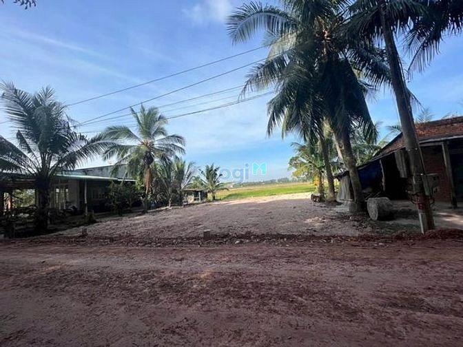 Hình ảnh Ngộp cần bán gấp đất tân biên 5*27 giá hết 199tr liên hệ hoàng xem đất