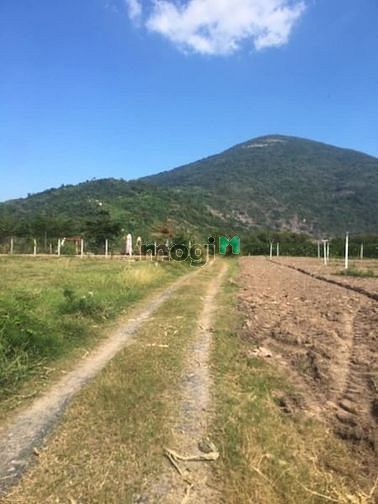 Hình ảnh Chủ cần bán gấp ninh thạnh ninh sơn tây ninh 6x67m chỉ 350tr