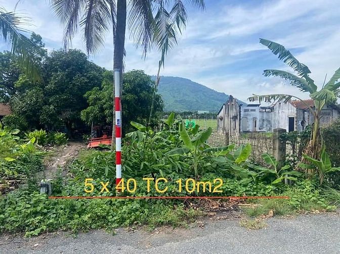 Hình ảnh CẦN RA NHANH 2 LÔ ĐẤT ĐẸP  - Khu vực : Ấp Thạnh Lợi , Xã Thạnh Tân , T