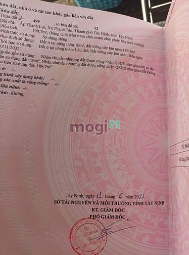Hình ảnh CẦN RA NHANH 2 LÔ ĐẤT ĐẸP  - Khu vực : Ấp Thạnh Lợi , Xã Thạnh Tân , T