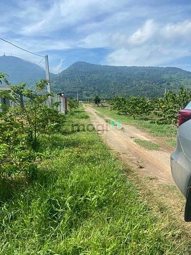 Hình ảnh CẦN RA NHANH 1 LÔ ĐẤT ĐẸP TP TÂY NINH - Khu vực : Ấp Thạnh Lợi , Xã Th