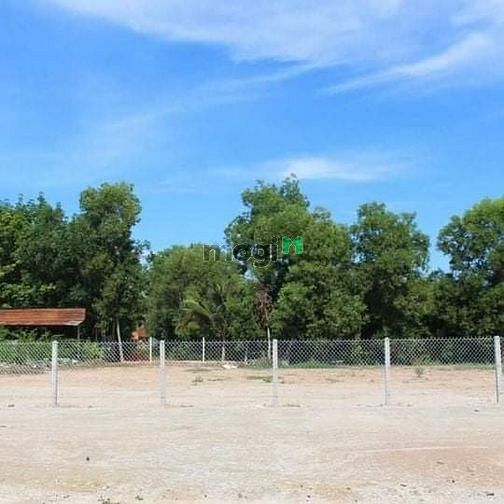 Hình ảnh Đất Hoà Thành - LONG TRUNG -Dt: 7.5x35m ( 340tr/ hết đất) -Đông dân cư