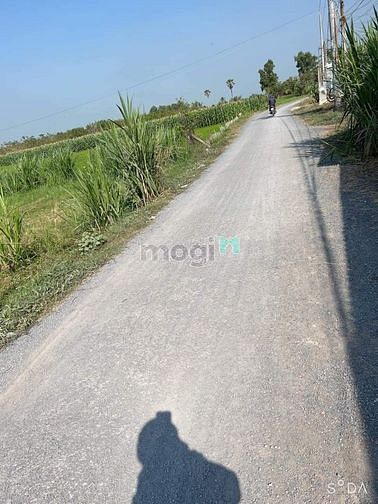 Hình ảnh GIA ĐÌNH CẦN TIỀN BÁN đất Tân Dông, Tân Châu, 1500m2, 685m2