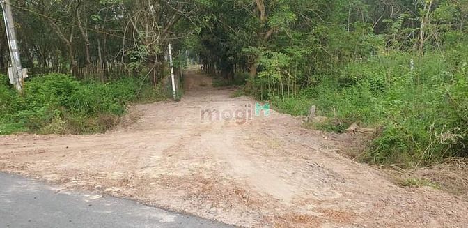 Hình ảnh [TP TÂY NINH] Cần Bán 8 công đất Bình Minh  -Diện tích (8,2 công) LUK