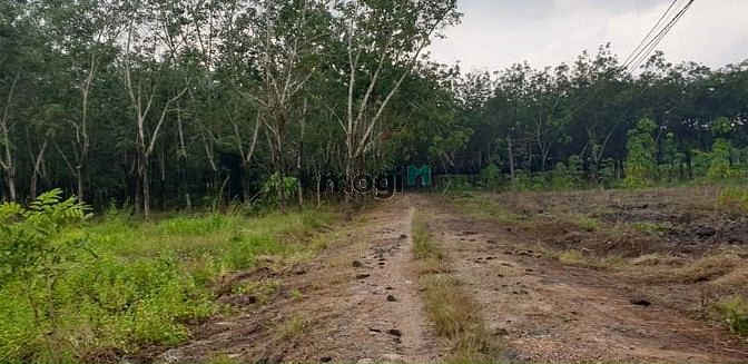 Hình ảnh [TP TÂY NINH] Cần Bán 8 công đất Bình Minh  -Diện tích (8,2 công) LUK