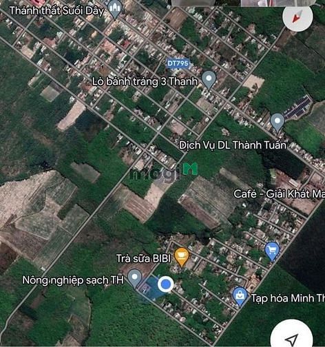 Hình ảnh BÁN ĐẤT TƯƠI mảnh đất Suối Dây Tân Châu Tây Ninh 225m²