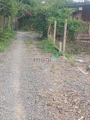 Hình ảnh Nguồn mới 2 lô đất tại ấp Trà Vỏ, Thạnh Đức, Gò Dầu, Tây Ninh.  👉 2 l
