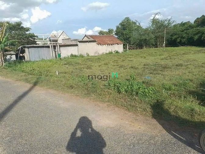 Hình ảnh CHÂN DÀI_MIÊN MAN ) 130m2 thổ cư ✅Đường thông không