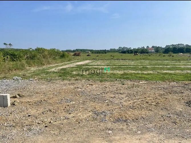 Hình ảnh VIEW ĐẸP NGẮM NÚI ĐẤT Sơn Đình, DMC, 488m²,860 triệu, PLRR