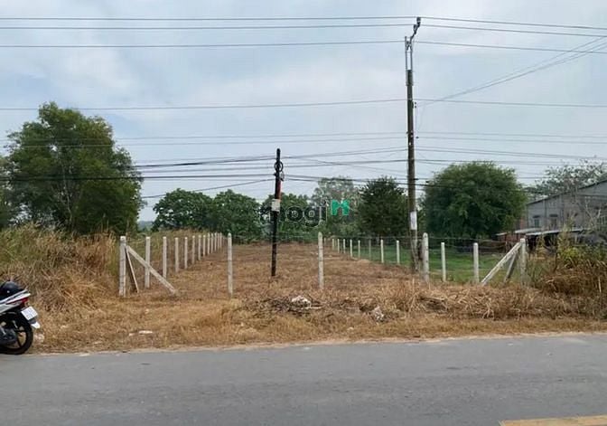 Hình ảnh BÁN NHANH ĐẤT Đường Láng, Phước Ninh 100m² giá 299tr CÓ SỔ