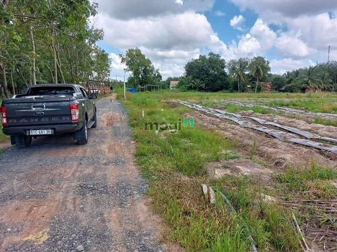 Hình ảnh DÂN CƯ ĐÔNG ĐÁ bán đất trung tâm Phước Vinh Châu Thành 235tr