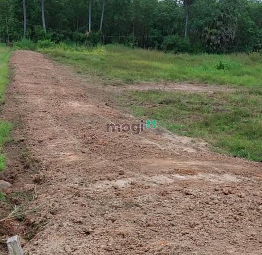 Hình ảnh Cơ hội Trang MB66.COM Chính Thức - MB 66 Uy Tín đất giá chỉ 305tr ngay Tp Tây Ninh công chứng ngay