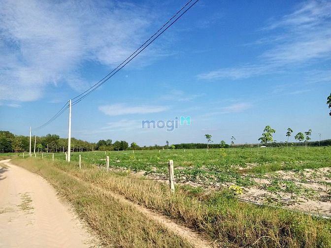 Hình ảnh Yên tâm an cư đất TÂN PHÚ - TÂN CHÂU, giá mềm 263tr full thổ cư