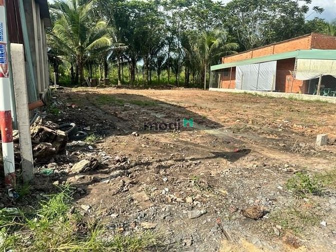 Hình ảnh DÂN CƯ ĐÔNG ĐÚC bán đất Tầm Lanh Hiệp Thạnh 110m²