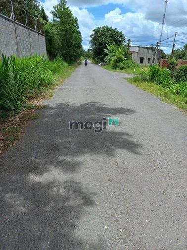 Hình ảnh [TP TÂY NINH] Cần Bán Gấp Đất Tân Hoà, Tân Bình, -Diện tích:(5x27) ful