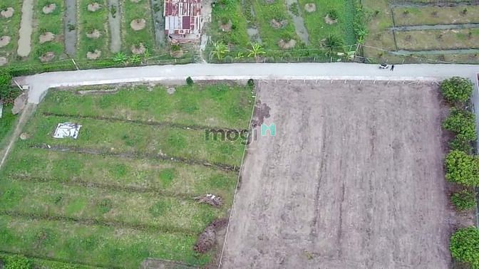 Hình ảnh Đãt đẹp BÀU ĐỒN sát KCN PHƯỚC ĐÔNG, GÒ DẦU. - Diện tích : 10x35 có 336