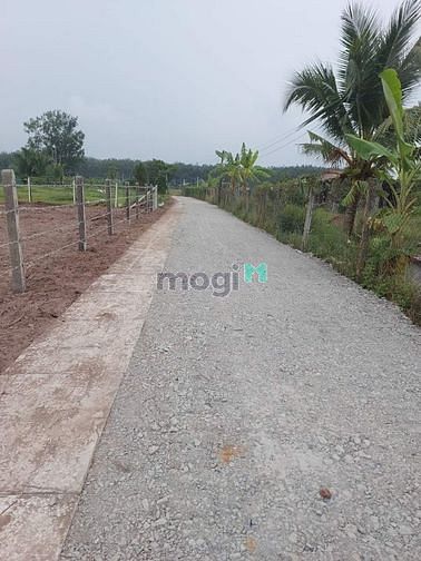 Hình ảnh Đãt đẹp BÀU ĐỒN sát KCN PHƯỚC ĐÔNG, GÒ DẦU. - Diện tích : 10x35 có 336