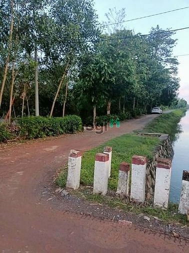 Hình ảnh SỔ HỒNG ÉP DẺO bán đất Ấp Đường Long Thạnh Đức Gò Dầu 475m²