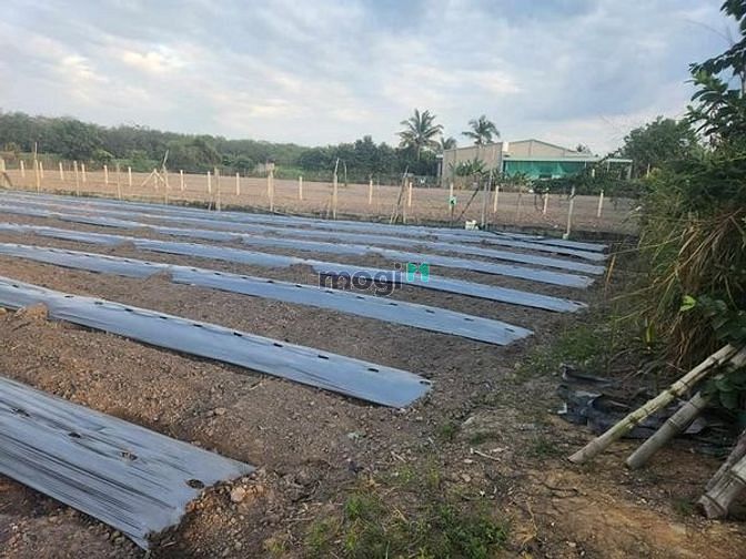 Hình ảnh Cắt lỗ đất suối đá DMC dt 20x68m 100m thổ cư Giá 85tr/m