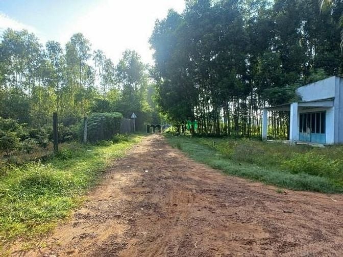 Hình ảnh Bán đất có sổ hồng riêng ngay trảng bàng ngang 6x57 chỉ 460tr hết đất