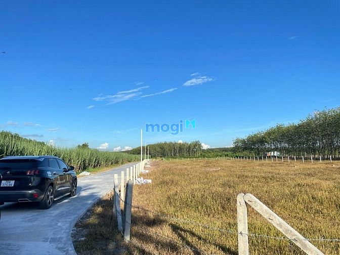 Hình ảnh Đất tại Gò Dầu Dt 150 m² đất thổ cư hết chỉ 410 trieeu lh Hoàng