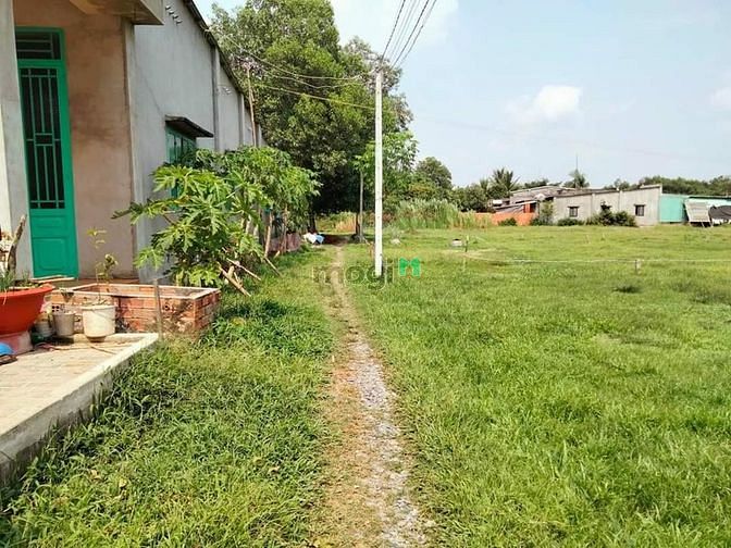 Hình ảnh [Gò Dầu] Đất 3 mặt tiền Phước Thạnh ⭕️Vị trí: Phước Tây, Phước Thạnh,