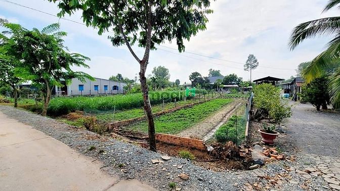 Hình ảnh Đất Thổ Cư giá 255tr/m ✅️DT: 170m2 (6*30) ✅️Pháp lý: SHR, công chứng l