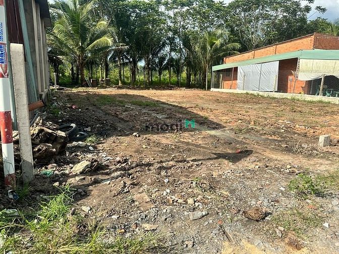 Hình ảnh CHỦ GỬI BÁN lô Đ.Trần Văn Trà TP. Tây Ninh 245tr 95m2 full THỔ