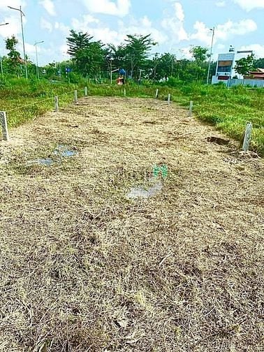 Hình ảnh Duy nhất còn 1 lô góc cho anh chị nhanh tay 95m2 full thổ Giá 550tr