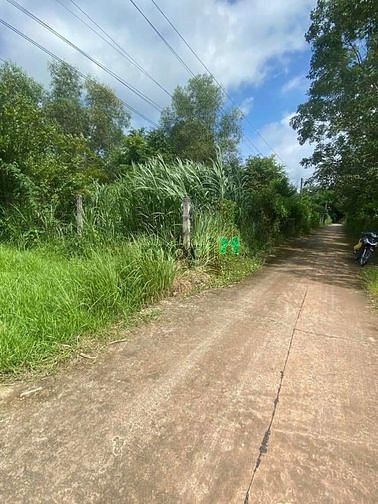 Hình ảnh [TP Tây Ninh] Bình Minh 🚗 Tiện ích: Đất đẹp vuông vức, hẻm bê tông 4m