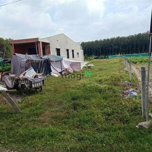 Hình ảnh Cần ra nhanh 10x68m,đất cln ở trảng bàng Giá : 110tr/m