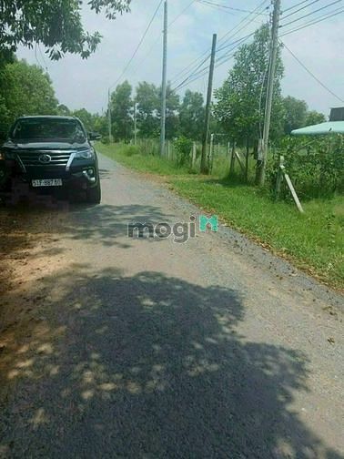 Hình ảnh KẸT TIỀN BÁN GẤP đất bình mInh,Tây Ninh, 210m2, 980 triệu, SHR