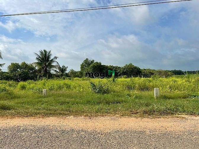 Hình ảnh BÍ QUÁ BÁN ĐẤT Cẩm Giang Gò Dầu Tây Ninh giá 370tr full thổ
