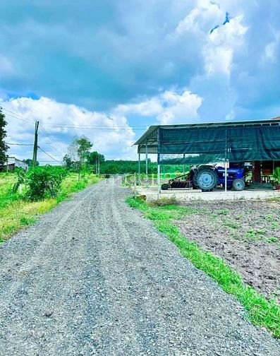 Hình ảnh Chủ cần bán hơn 1 công đất có 100m2 thổ cư, Đất phủ hồng , cách nhựa l