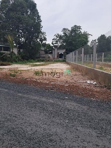 Hình ảnh BÁN MÀ TIẾC miếng 150m2 Ngay tân Biên chỉ 462tr SHR