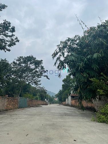 Hình ảnh Bán đất 1600m2 full thổ cư tại Sóc Sơn, Hà Nội. Giá 6,9tr/m2