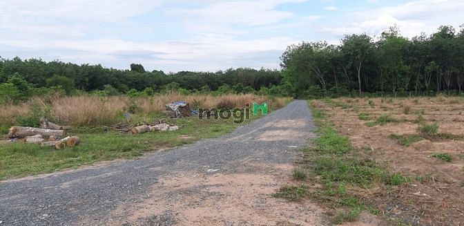 Hình ảnh Còn thương lượng đất LONG THUẬN - BẾN CẦU giá chưa tới 450tr SHR