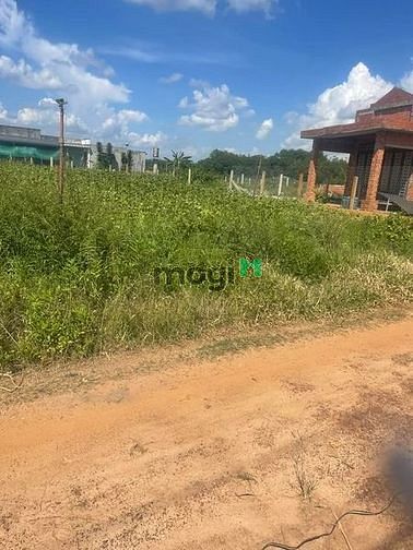 Hình ảnh Bán nhanh đất tân châu tây ninh dt 130m full thổ giá 265tr