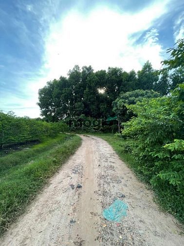 Hình ảnh Bán đất Full Thổ Cư, View Núi Bà Đen,Tp Tây ninh + có sổ công chưng và